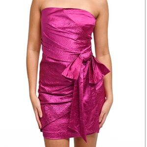 NWT Ronny Kobo Magenta Metallic Fuschia Strapless Carolalyana Carolina Dress